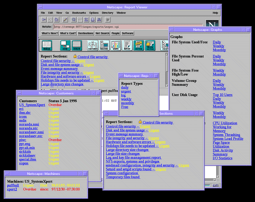 Netscape Viewer Image 2