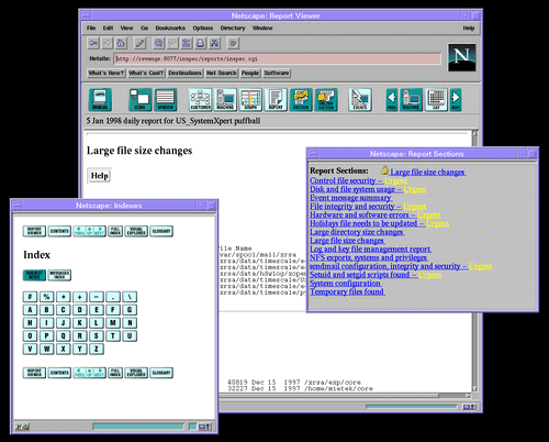Netscape Viewer Image 4